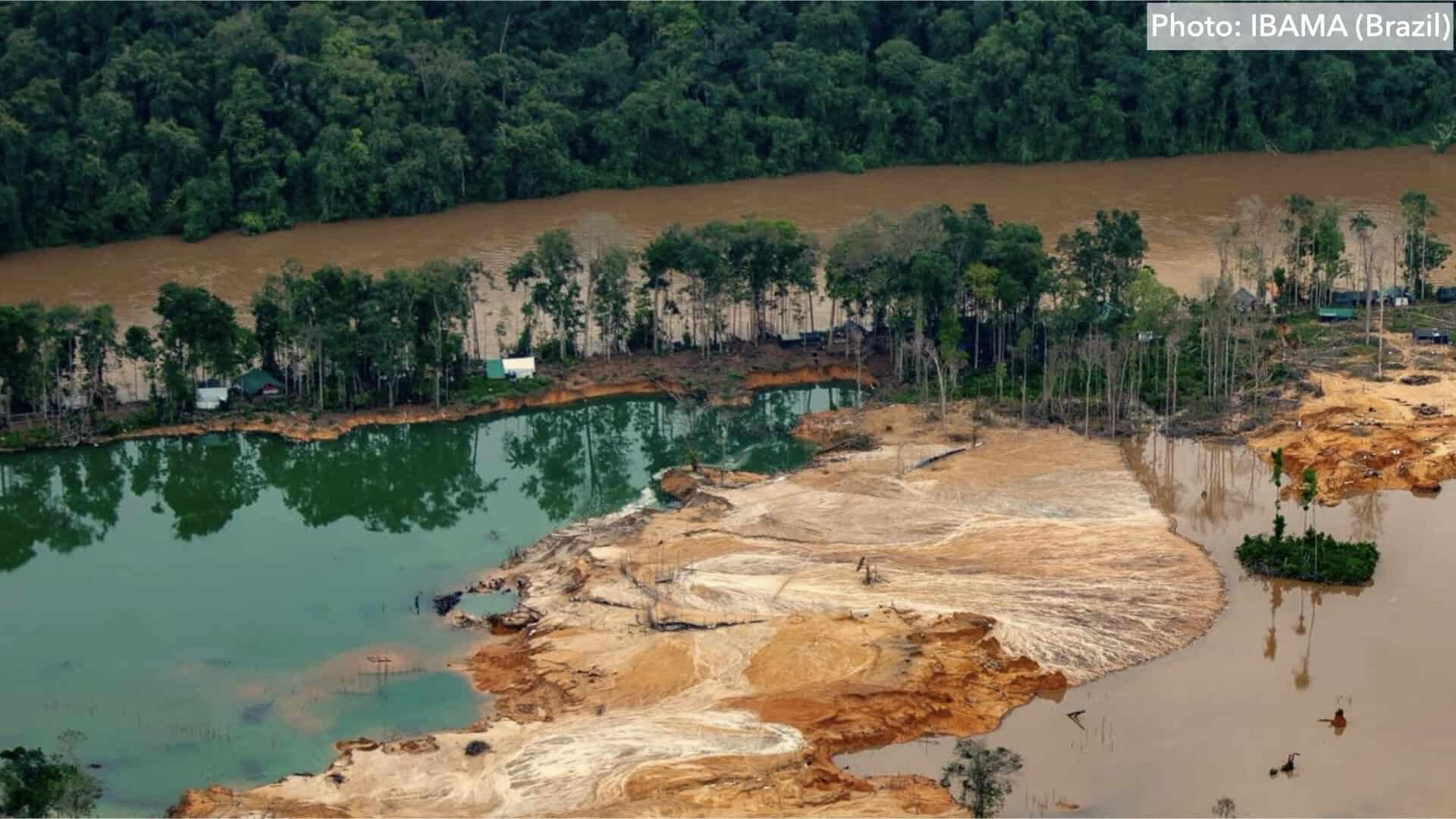 “It’s So Seamlessly Blended into the Regular Economy That It’s Hard to Pull Out”: Environmental Organized Crime in Venezuela, and Throughout the Americas
